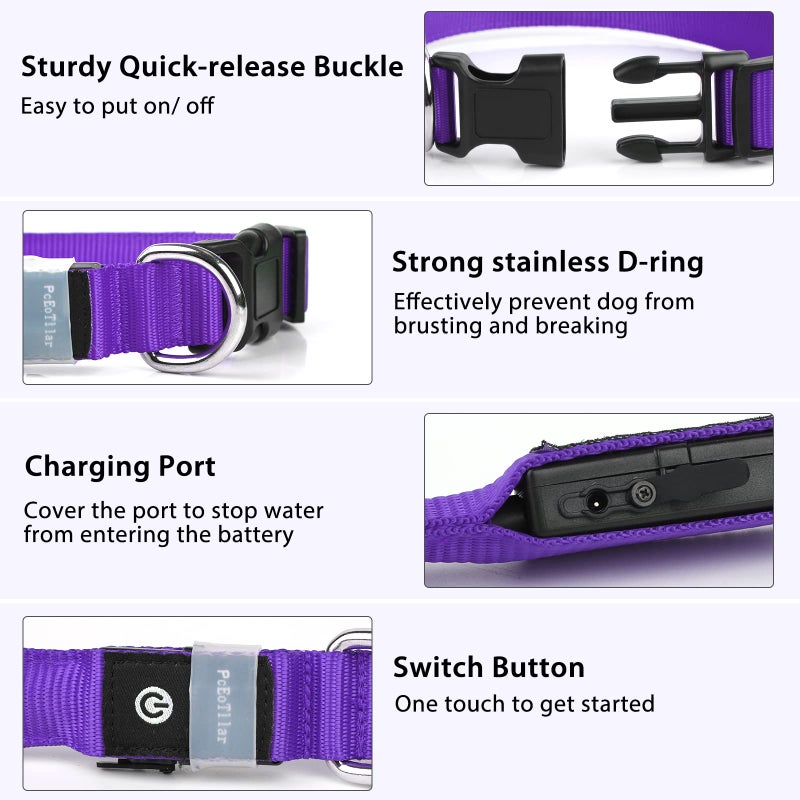 PcEoTllar Light up Dog Collar for Night Walking - LED Dog Collar Light Rechargeable Color Changing, Glow in The Dark Dog Collars Waterproof Glowing Dog Collars for Large Small Medium Dogs - Image 3
